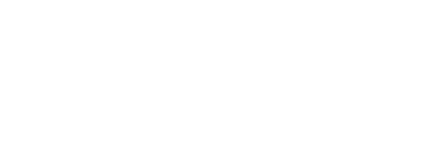 Nicole Floridia Logo